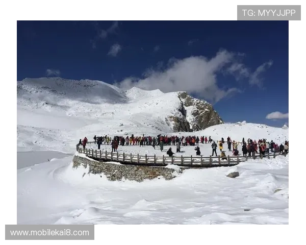 凯发登录-凯发真人网娱乐为您提供最安全可靠的线上真人娱乐体验，尽享丰富多彩的游戏玩法