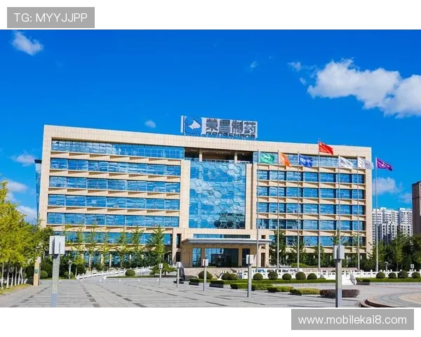 K8凯发网娱乐平台的技术创新与未来发展方向，探索行业领先的创新动力