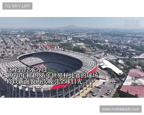 2026年世界杯举办地点对相关城市经济和旅游业的影响分析